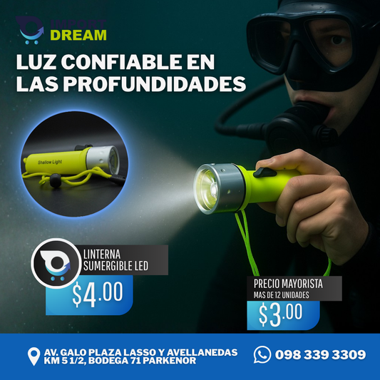 LINTERNA LED SUMERGIBLE