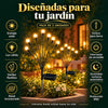 2x1 Luces Luciernaga